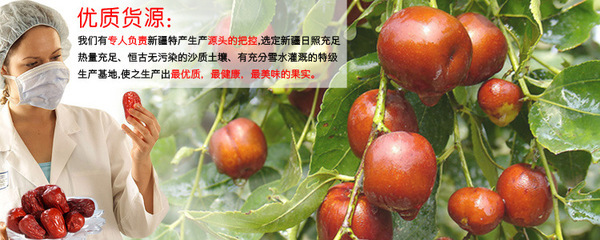 批發(fā)零售樂維伊和田駿棗與和田玉棗子——優(yōu)質五星紅棗的全面解析