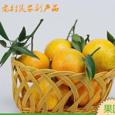 四川愛媛38號柑橘 產地直銷的甜潤佳果